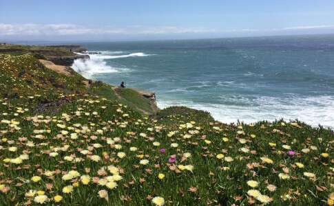 Santa Cruz - CA