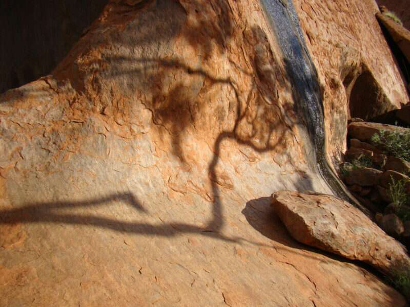 Sombra da árvore na areia avermelhada do Uluru