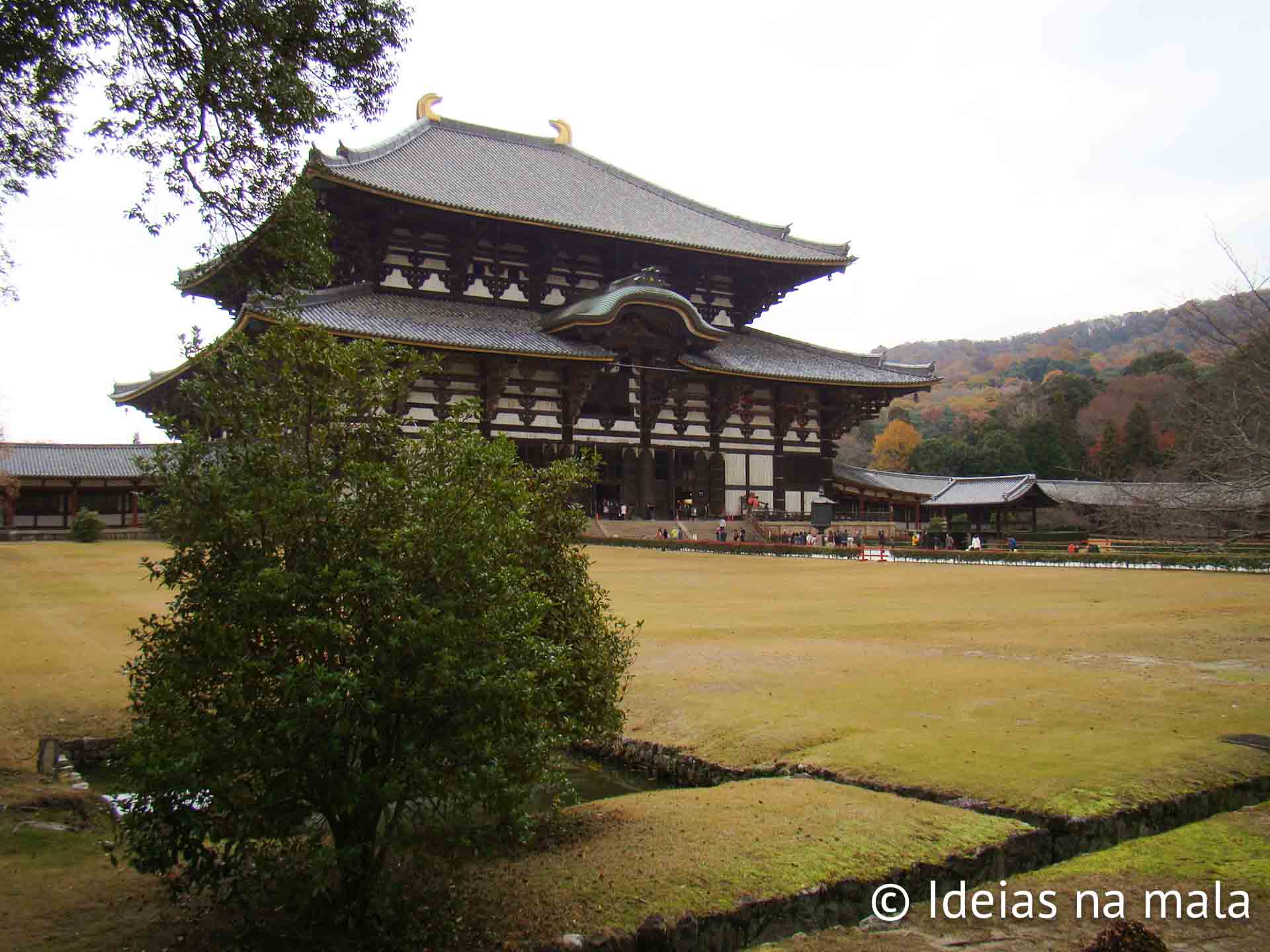 Templo Todai-ji: o principal templo de Nara