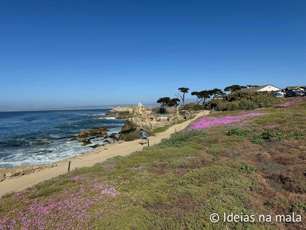 Pacific Grove, uma das cidades litorâneas da Califórnia