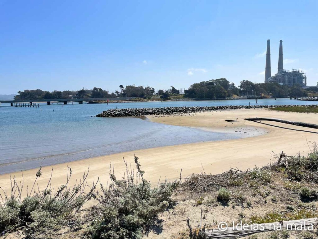 Estuário de Moss Landing