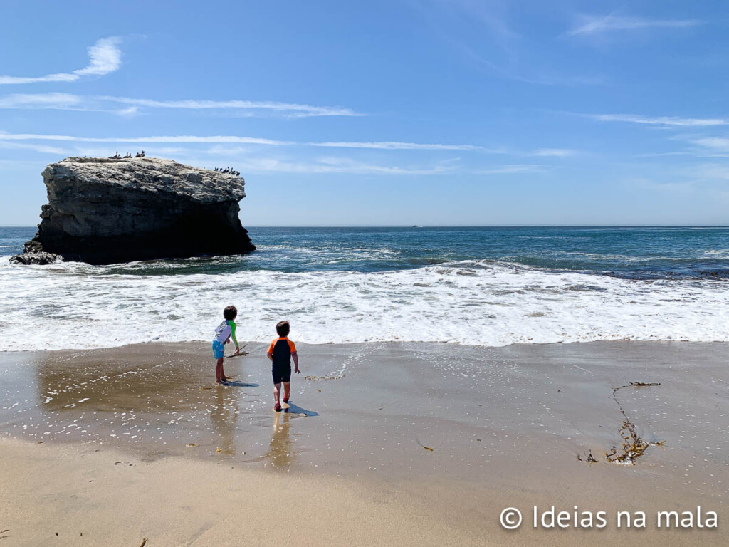Natural Bridges State Beach in Santa Cruz