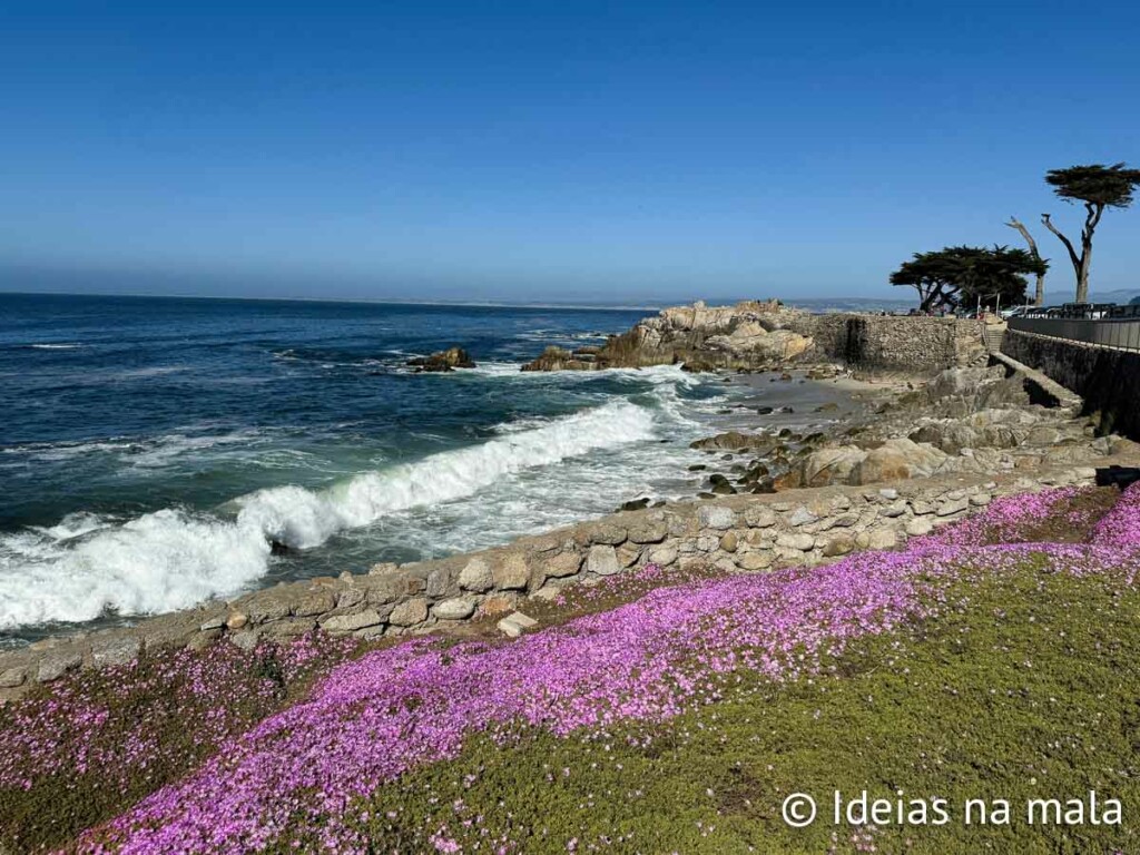 Pedalando por Pacific Grove, a orla é lindíssima
