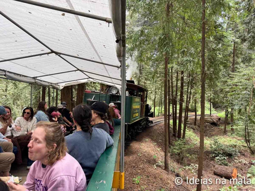 Roaring Camp Railroads em Santa Cruz