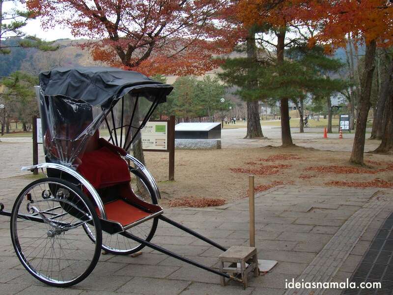 Parque de Nara no outono