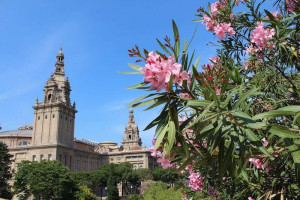 Barcelona: Dicas Para Visitar Montjuïc