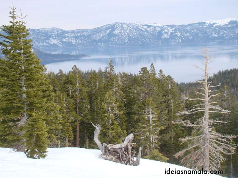 Vista do passeio de Snow Mobile - Lago Tahoe