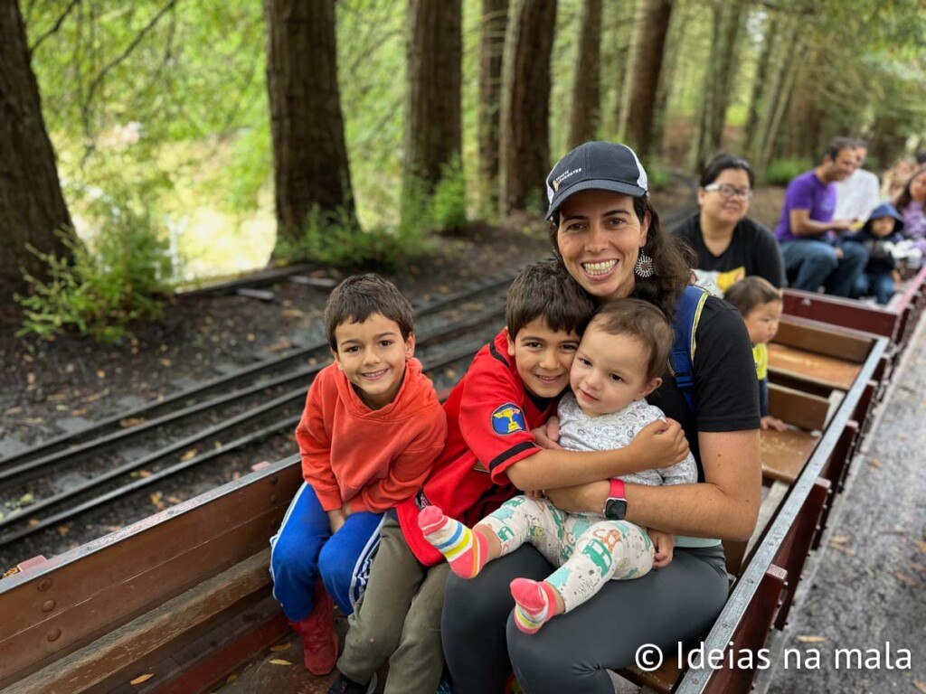 Passeio de trem pelas Redwoods em Berkeley