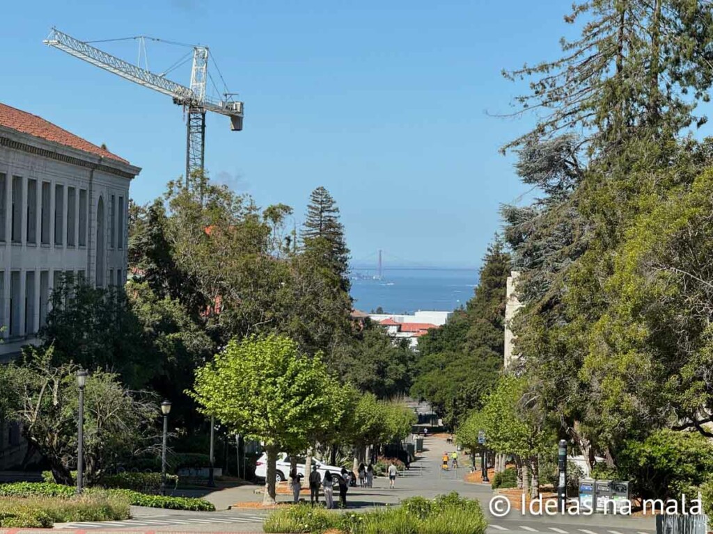 Golden Gate vista do Campus da UC Berkeley