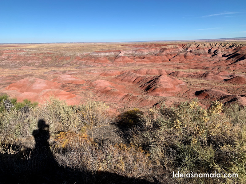 Painted Desert Overlooks no Petrified Forest