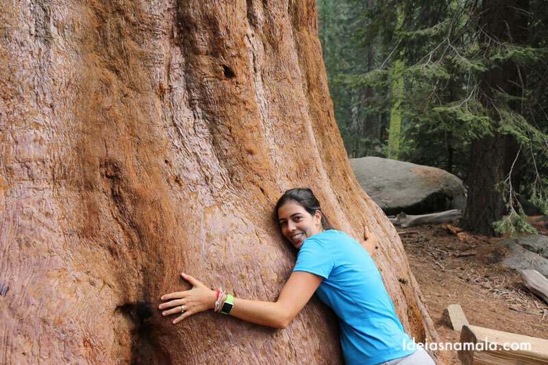 Sequoias National Park
