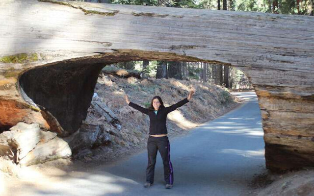 Yosemite Park ou Sequoias National Park