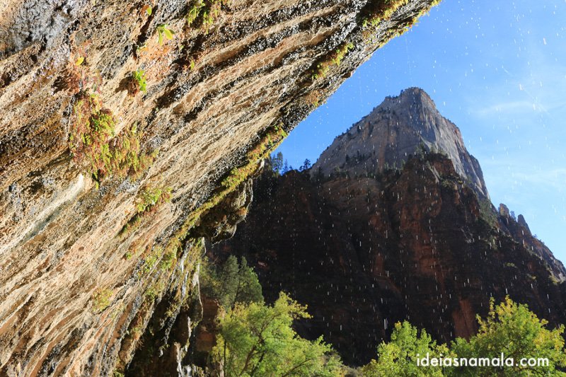 Weeping Rock no Zion National Park