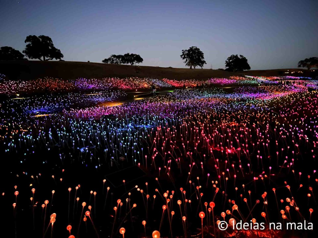 Luzes do Sensorio, um campo de luzes colorida espetacular