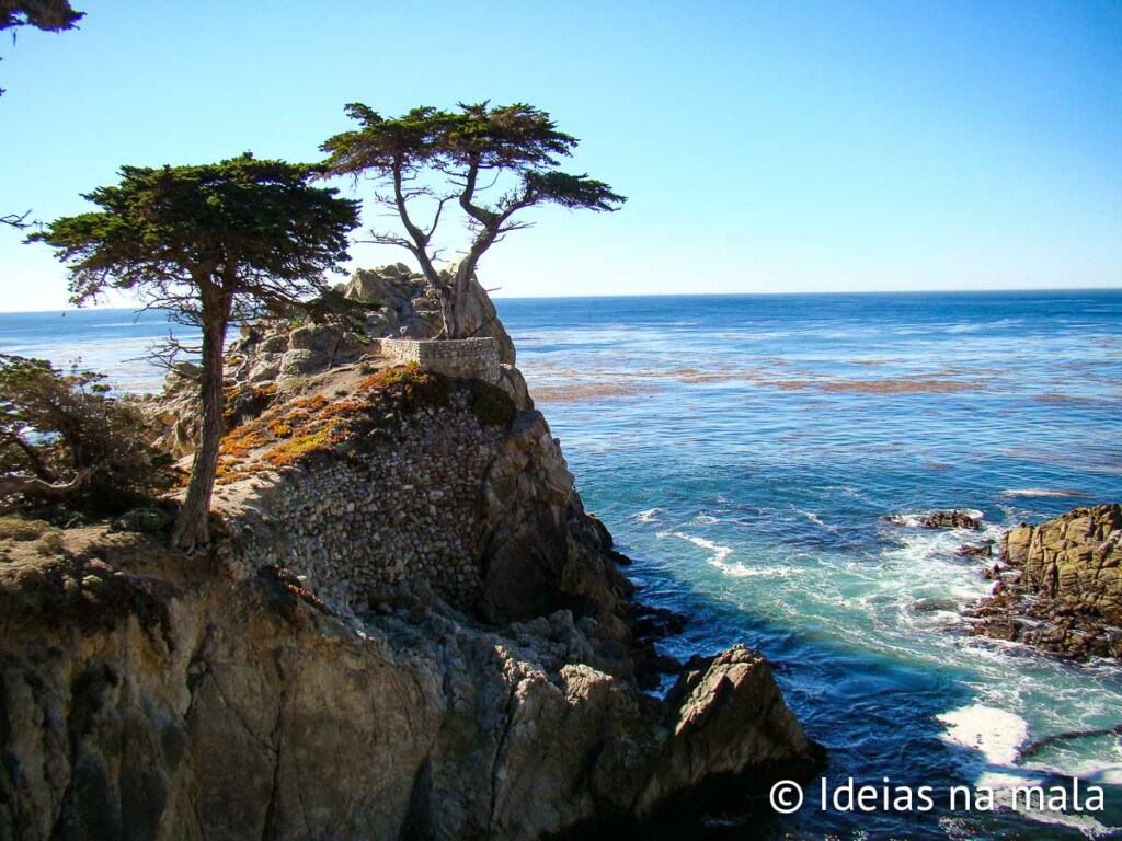 Cipreste Solitário em Carmel
