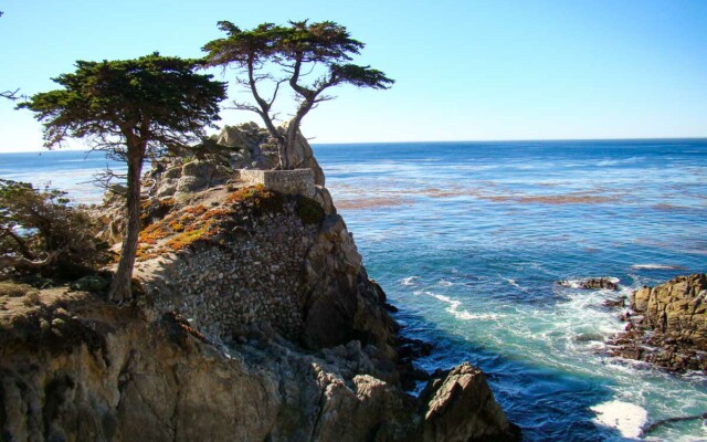 Cipreste Solitário em Carmel