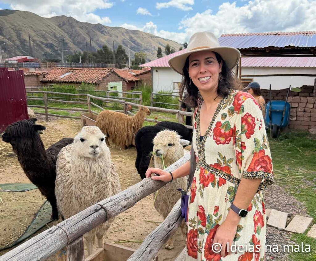 Visitando Llamas e Alpacas em Awana Kancha - perto de Cusco
