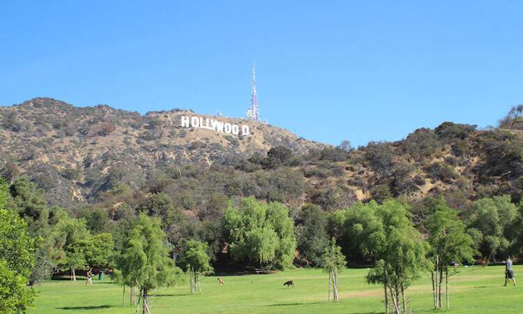 Placa de Hollywood vista do parque de cachorros