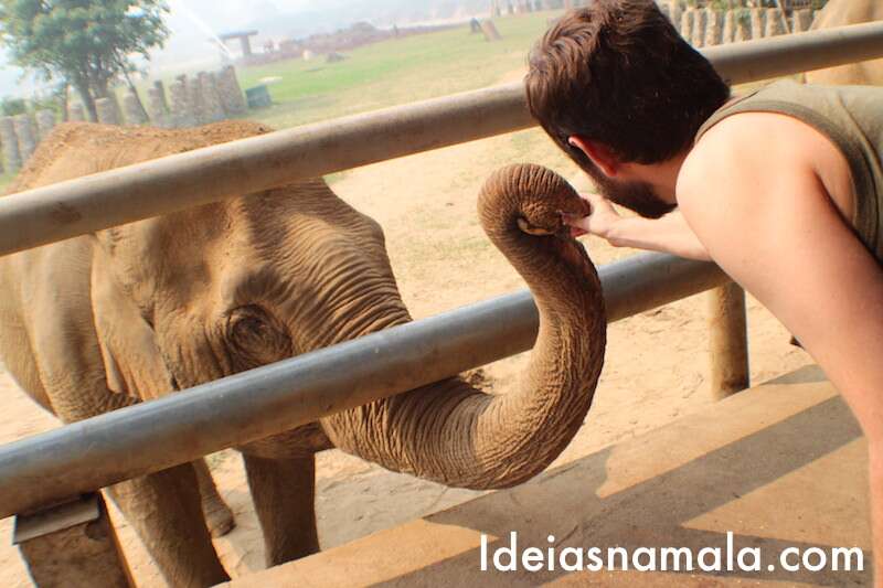 Elephant Nature Park - Chiang Mai