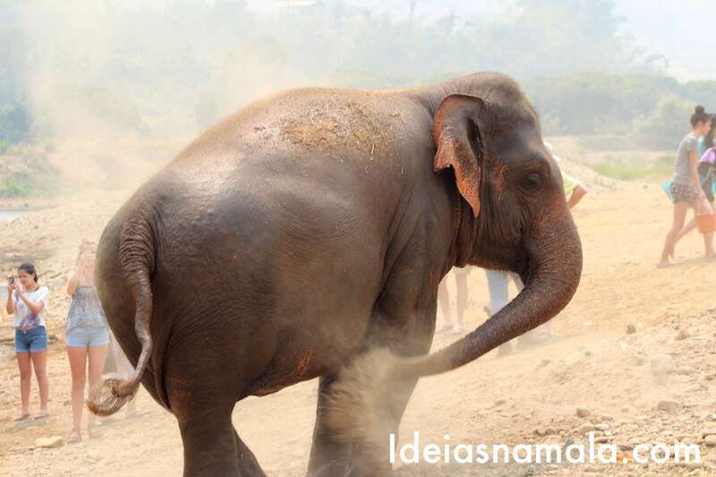 Protetor solar - Elephant Nature Park