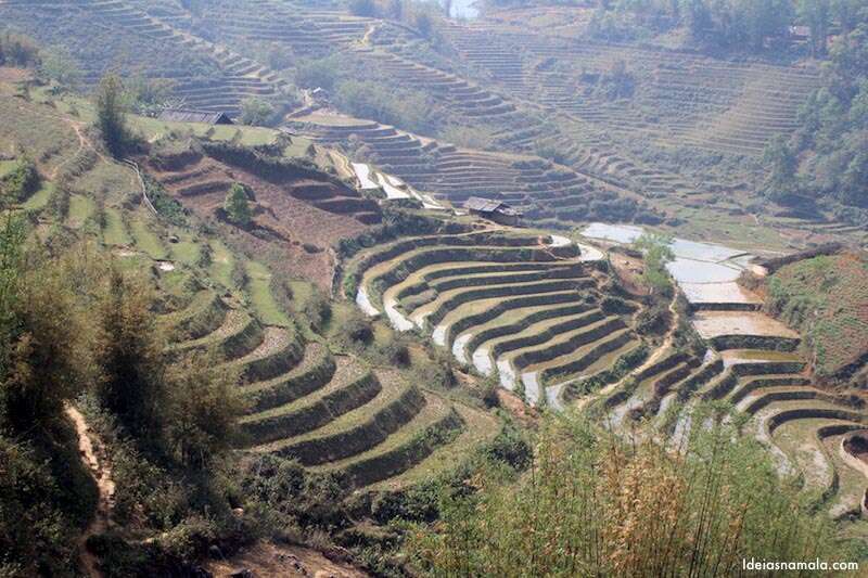 Plantações de Arroz em Sapa, norte do Vietnã