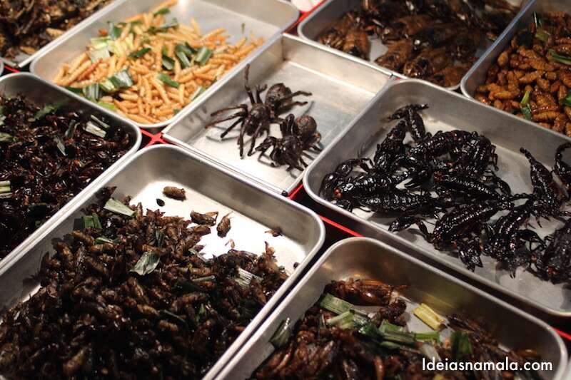 O que fazer em Bangkok - Comer insetos