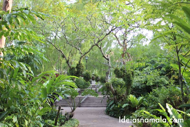 Jardim Botânico de Cingapura