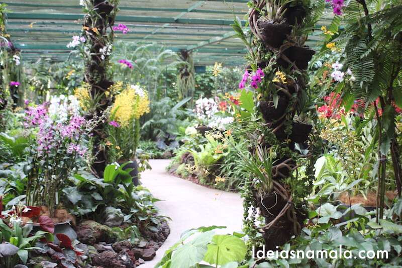 Orquidário do Jardim Botânico de Cingapura