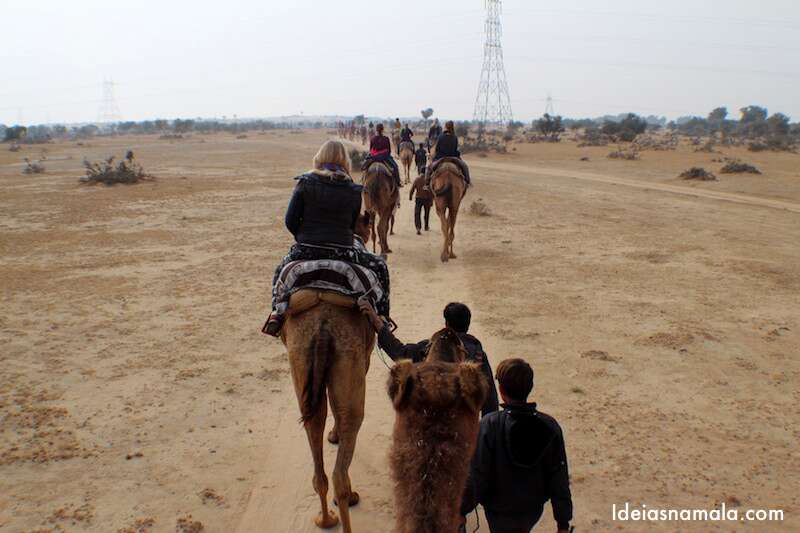 Safari de camelos na Índia 