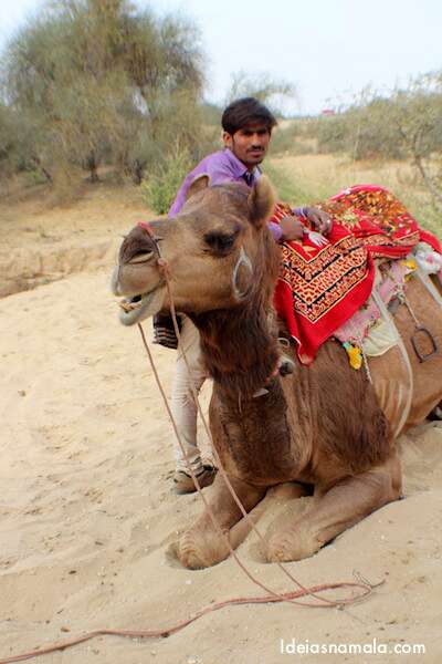 Safari de camelos na Índia