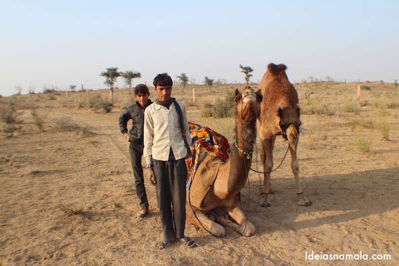 Safari de camelos na Índia 