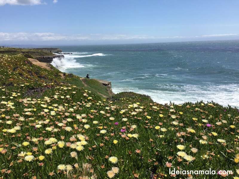 West Cliff Drive em Santa Cruz na Califórnia