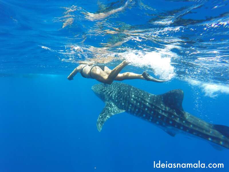 Snorkel em Maui