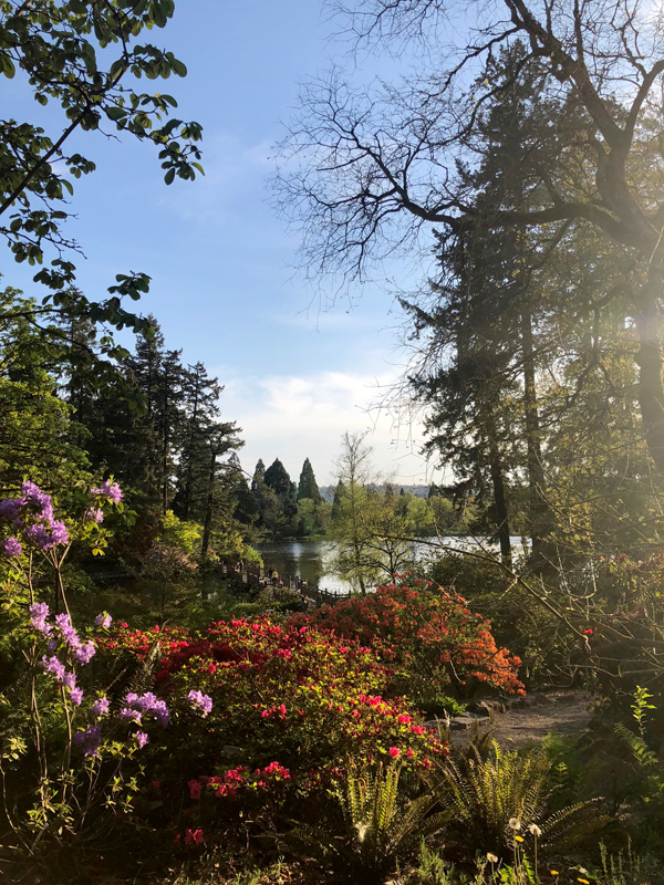 Crystal Springs Rhododendron Garden é uma bela parada em Portland, Oregon.
