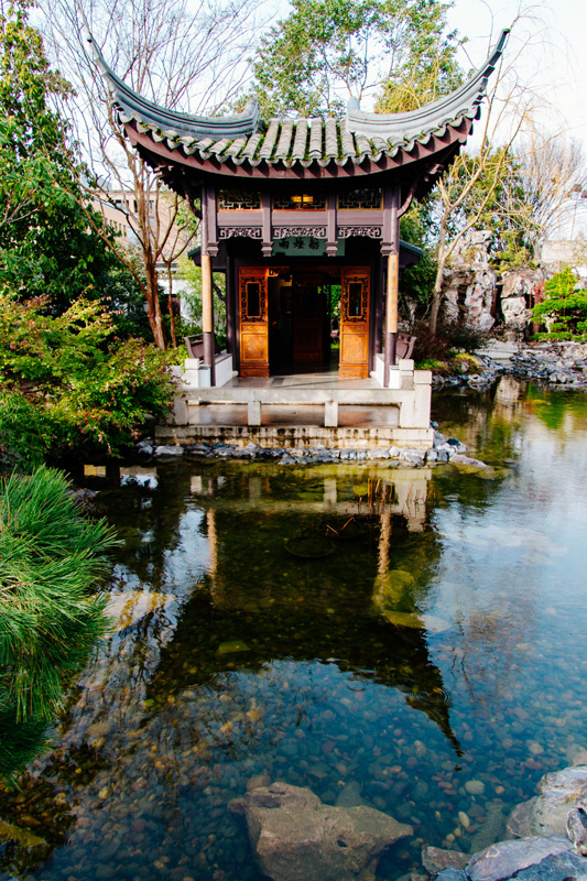 Dica incrível de passeio em Portland: Jardim chinês Lang Su Garden