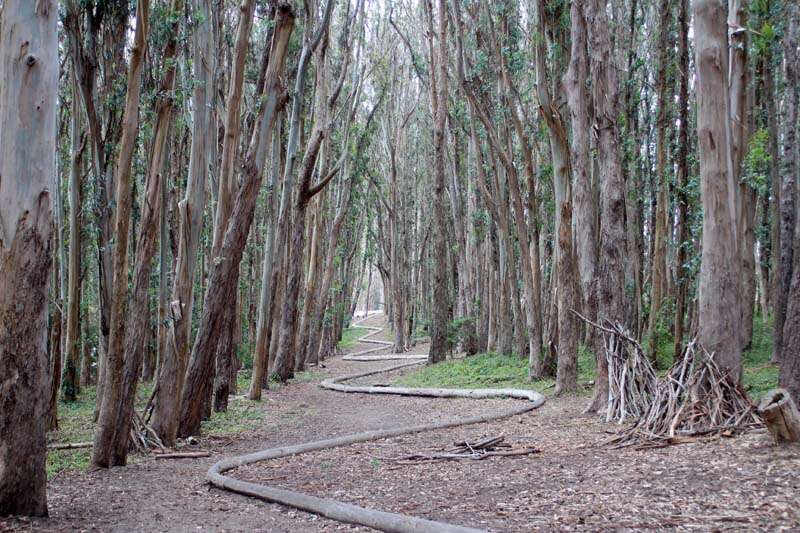 Parque Presidio