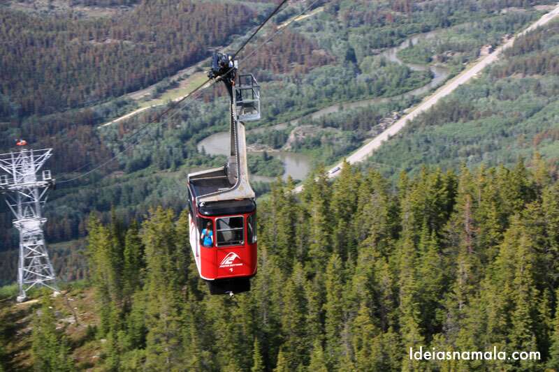 Jasper Tram, um passeio com vistas incríveis das montanhas