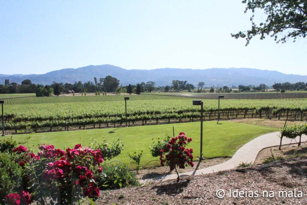 Vinhedos em Napa Valley