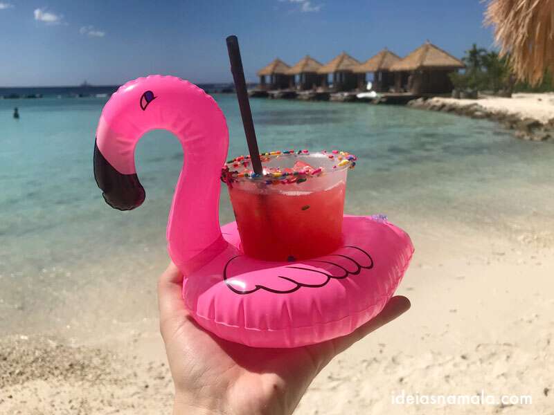 Drink de Flamingo na Iguana Beach em Aruba: dicas de passeio