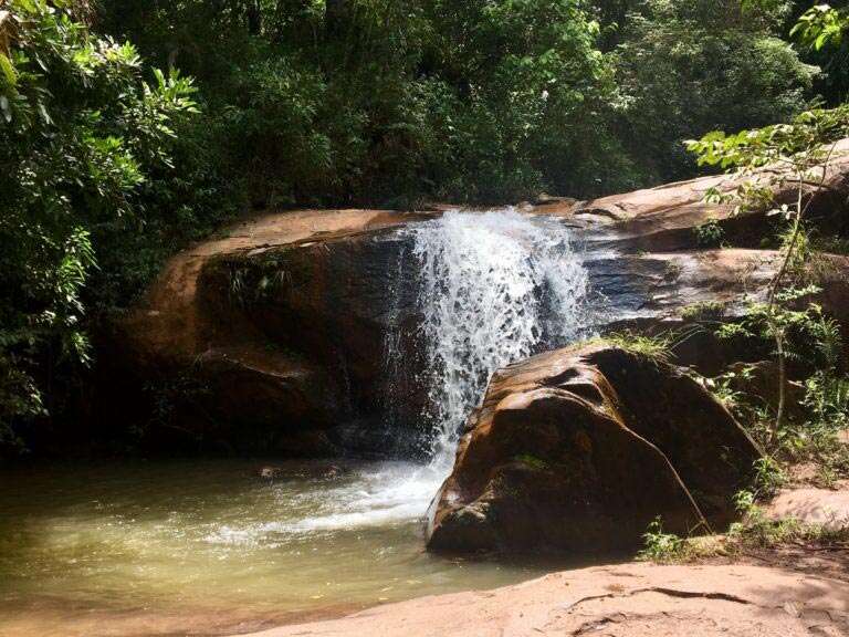 brumadinho – Blog do Waldiney Passos