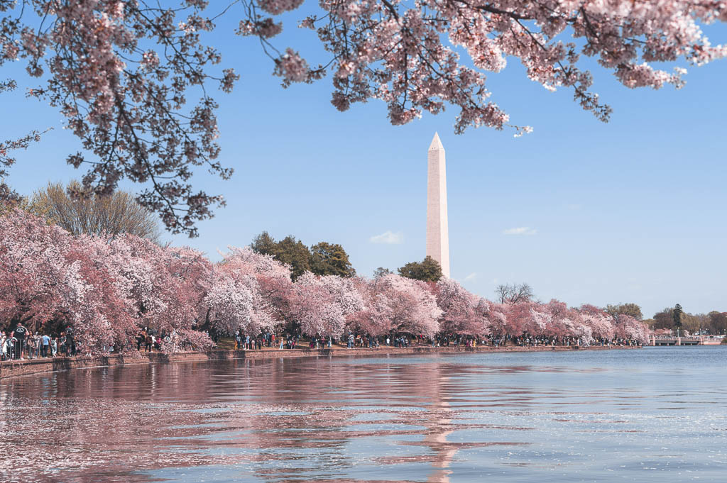 Coisas para fazer este mês em Washington, DC