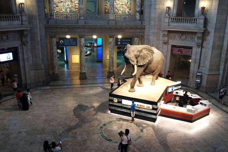 Museu de História Natural em pontos turísticos de DC