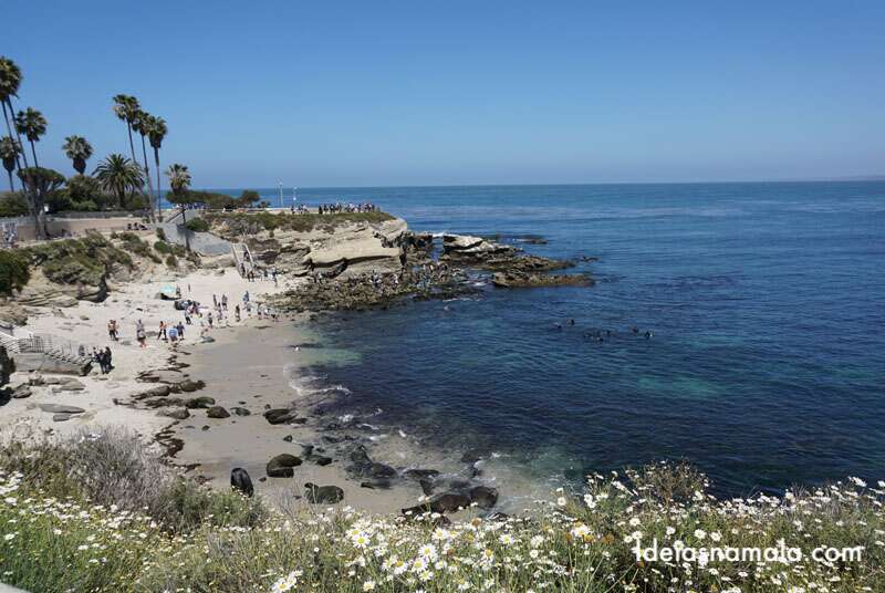 Uma das regiões mais lindas de San Diego, La Jolla é uma boa para caiaque e cilindro