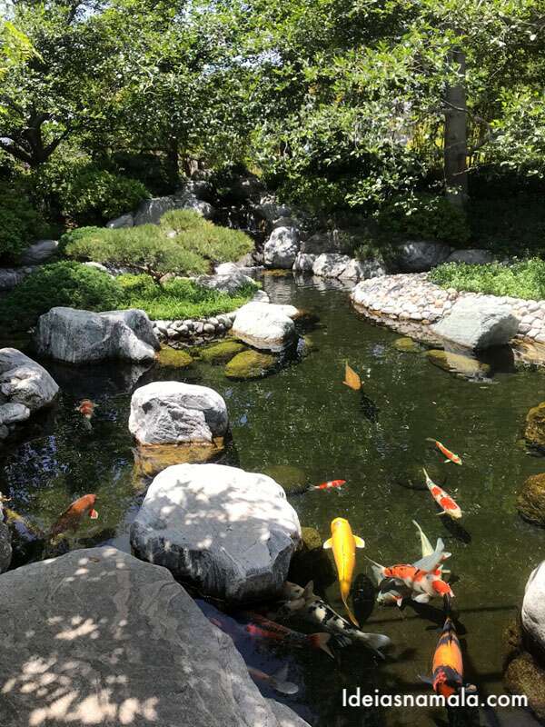 San Diego com crianças: lago das carpas no Japanese friendship garden.