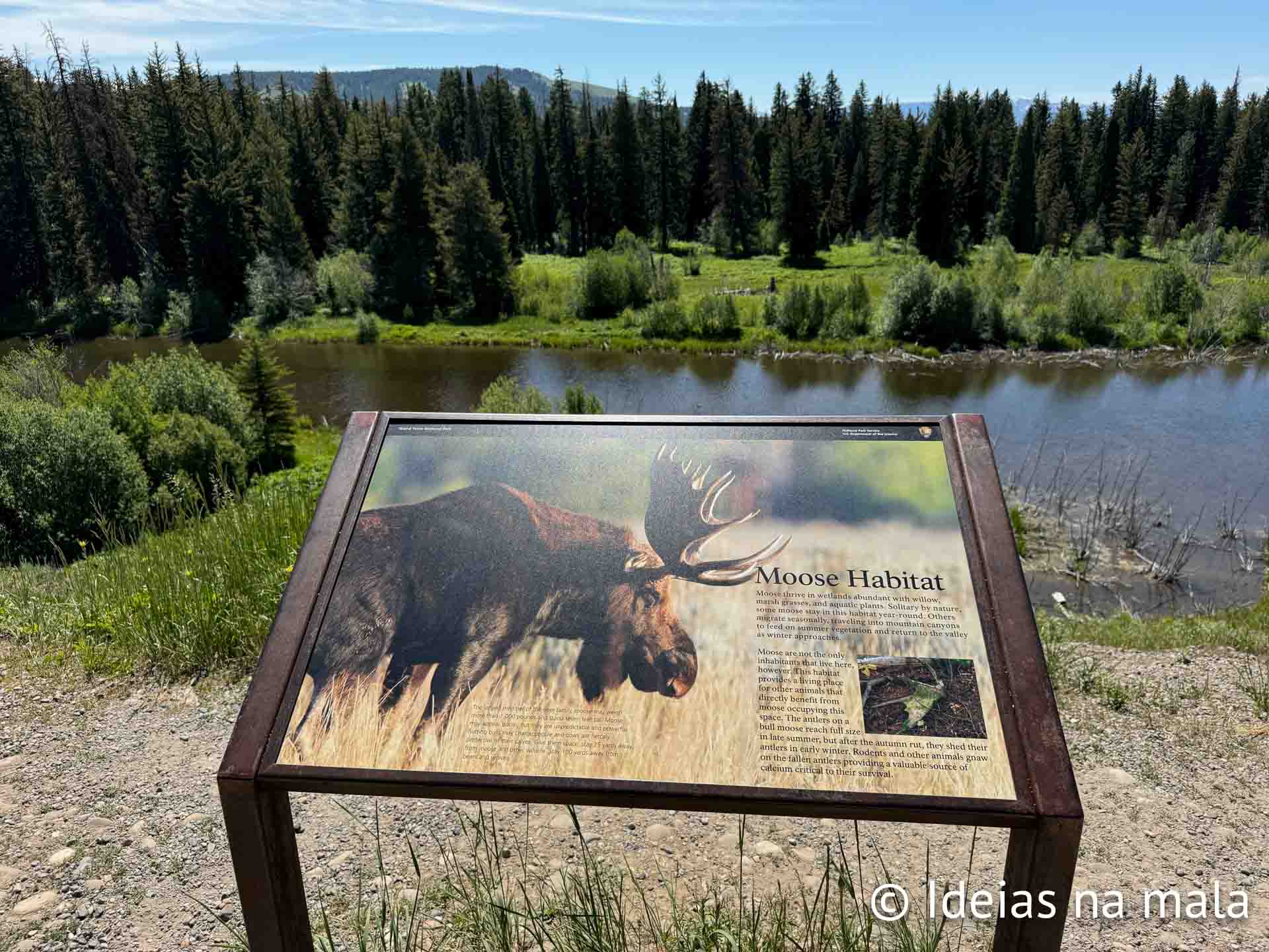 Moose Lake no Grand Teton National Park
