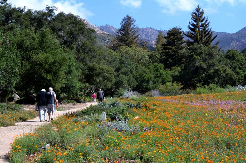 Jardim Botânico Santa Barbara em  que fazer em Santa Barbara