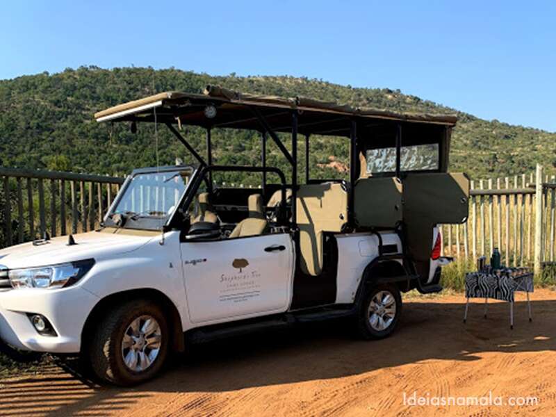 Safari em Pilanesberg