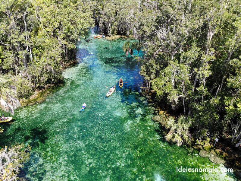 Agua florida - Da Naturaleza