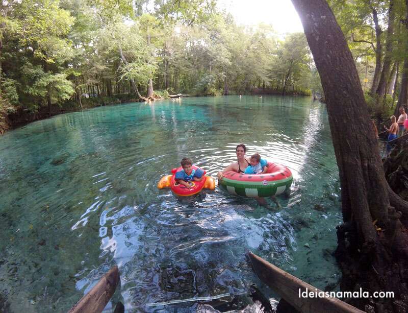 Springs da Flórida: 10+ Piscinas naturais lindas pertinho de Orlando