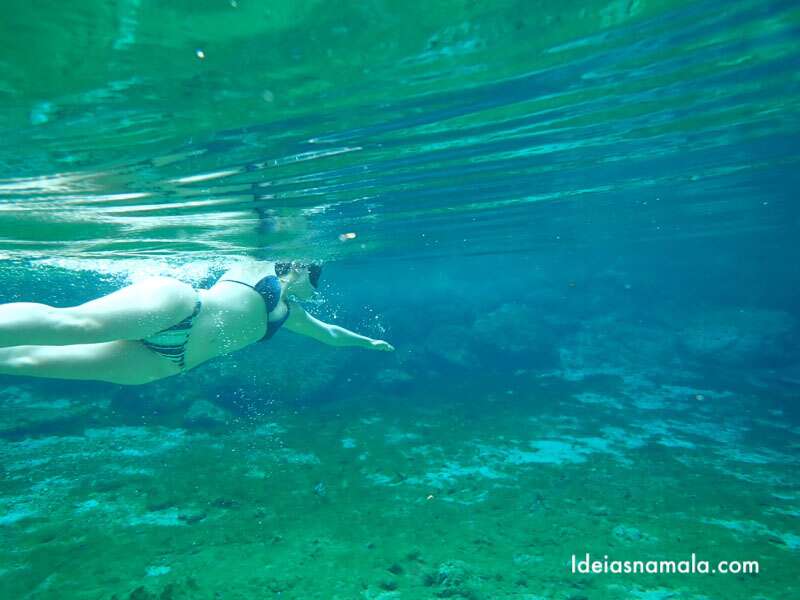 Springs da Flórida: 10+ Piscinas naturais lindas pertinho de Orlando